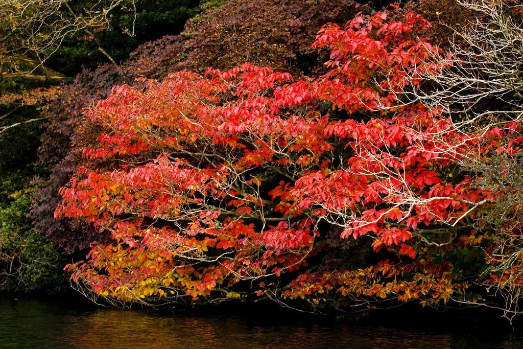 Hakone Hotel