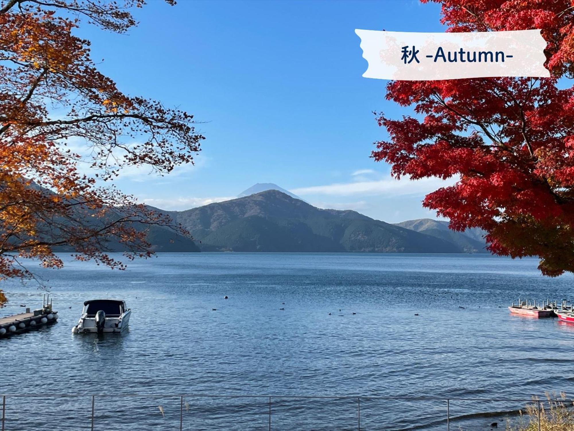 Hakone Hotel Ryokan 4*